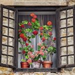 window, flowers, glass-6603969.jpg