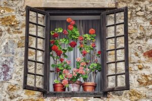 window, flowers, glass-6603969.jpg